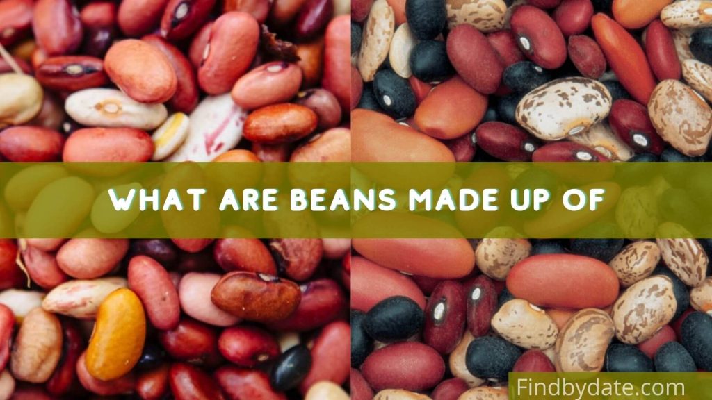 Where do beans come from