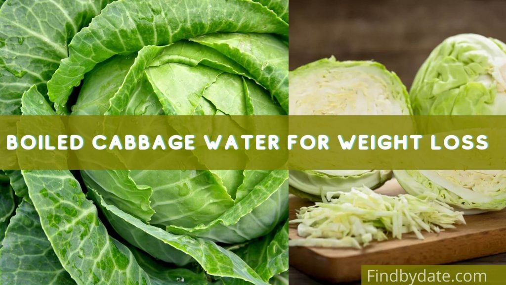 is boiled cabbage good for weight loss