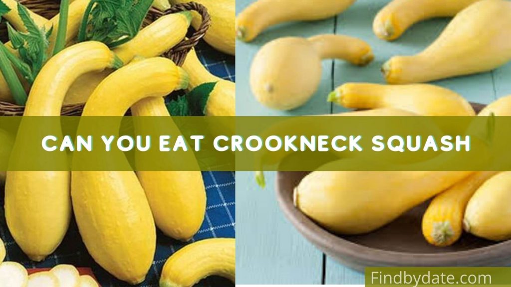 how to cook crookneck squash in the oven