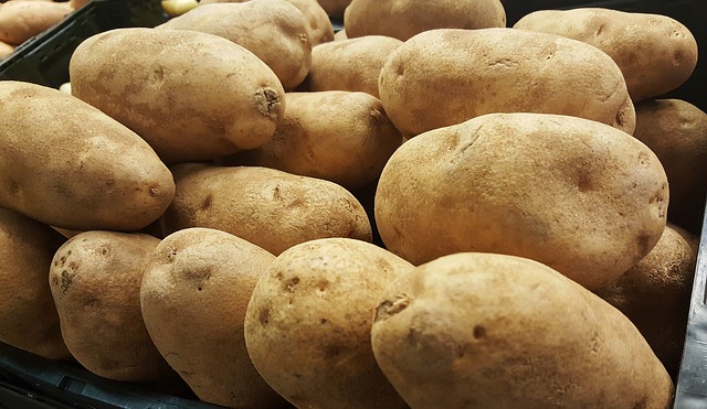 russet-potatoes-not-found